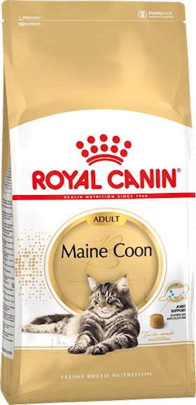 Quru yem Royal Canin Maine Coon Adult Meyn-kun cinsli pişiklər üçün 15 aydan, 2 kg