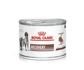 Konserv Royal Canin Recovery it və pişiklər üçün, 195 q