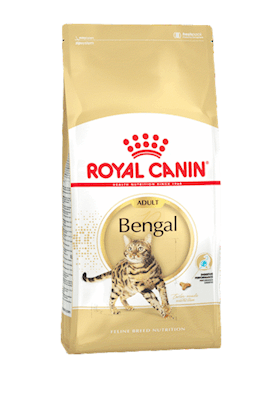 Quru yem Royal Canin Bengal Adult yetkin benqal pişiklər üçün 2 kq