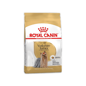 Quru yem Royal Canin, Yorkşir teryeri cinsli yetkin itlər üçün, 0.5 kq